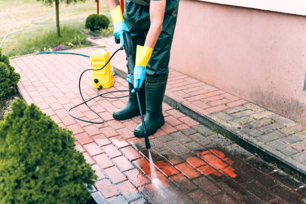 Best Best Pressure Washing Companies  in Driggs, ID